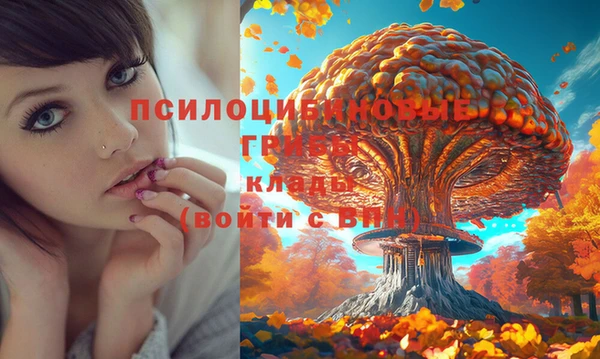 кокаин премиум Корсаков