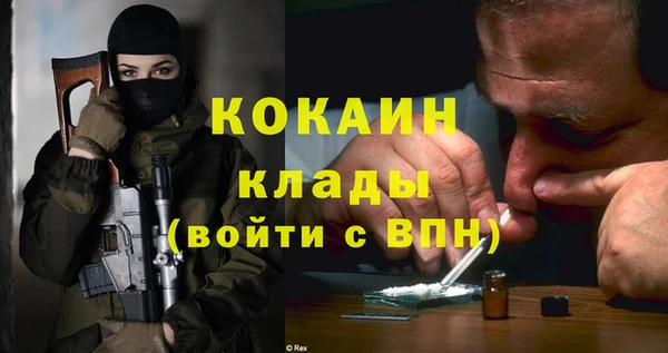 крисы Мосальск