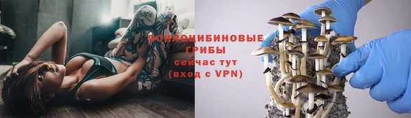 трава Санкт-Петербург