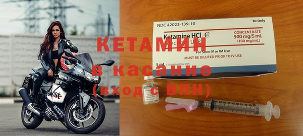 сатива Костерёво